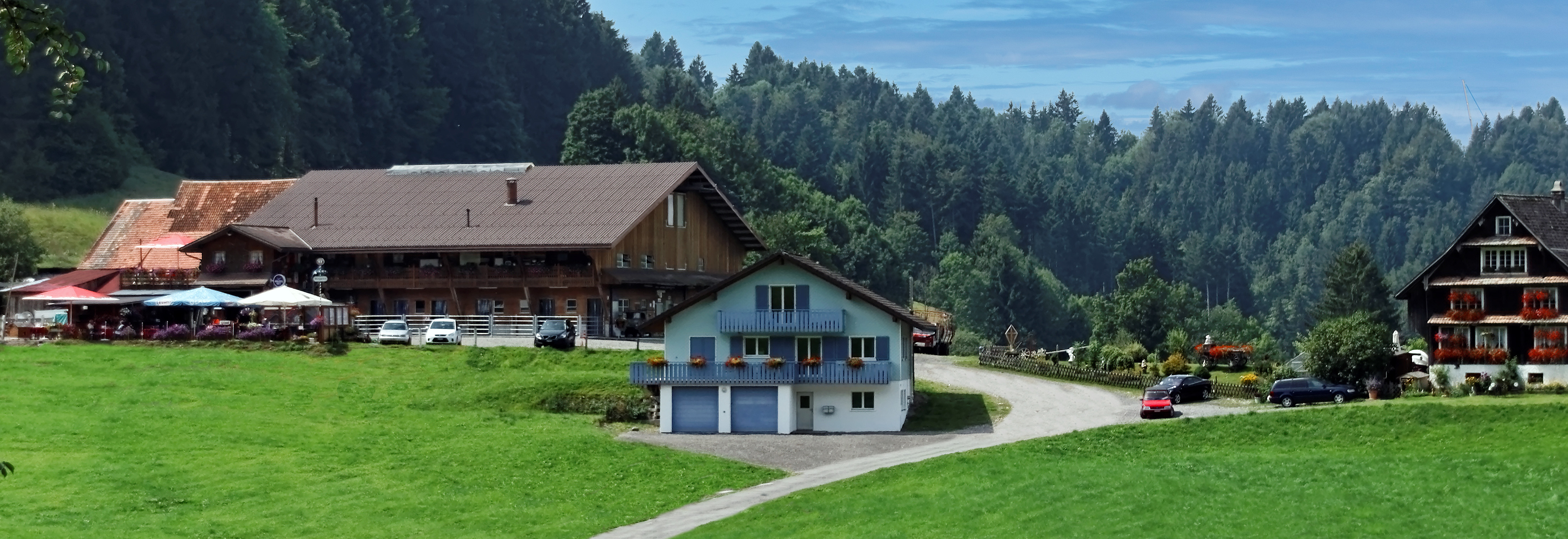 Der Haflingerhof in Egg bei Einsiedeln