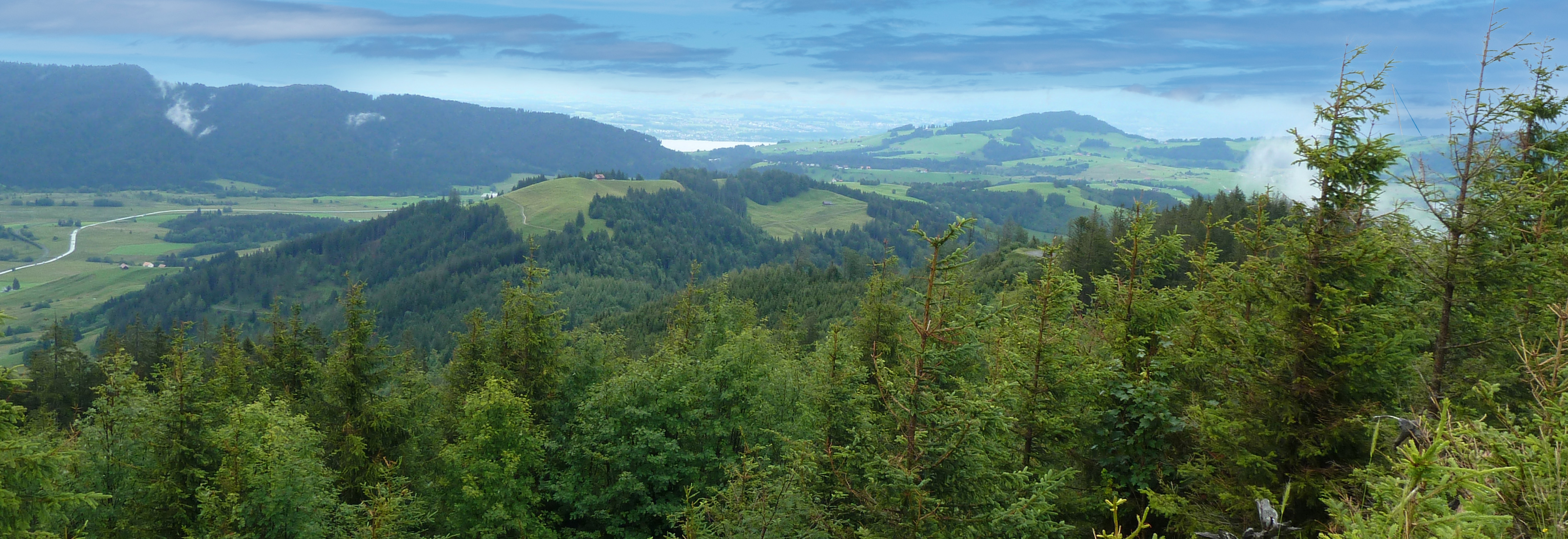 Aussicht vom Halfingerhof in die Umgebung von Egg bei Einsiedeln und Sihlsee